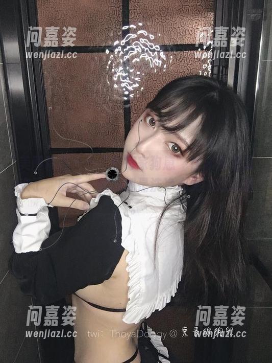美图精选——“奇行家狗崽”在泳池里又来了，随手一拍的都是洗净心灵的好风景。