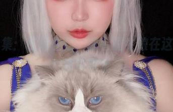 作品集：椒妮佐仁，或者说牛娘在这儿的迷失时光